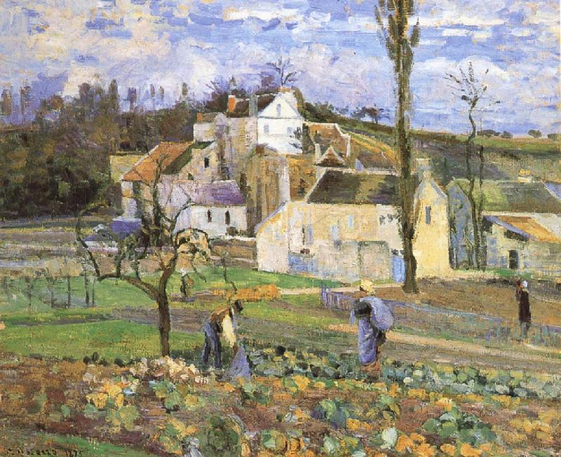 Camille Pissarro Cabbage harvest France oil painting art
